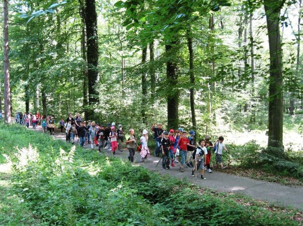 Schulklasse Wanderung im Wald