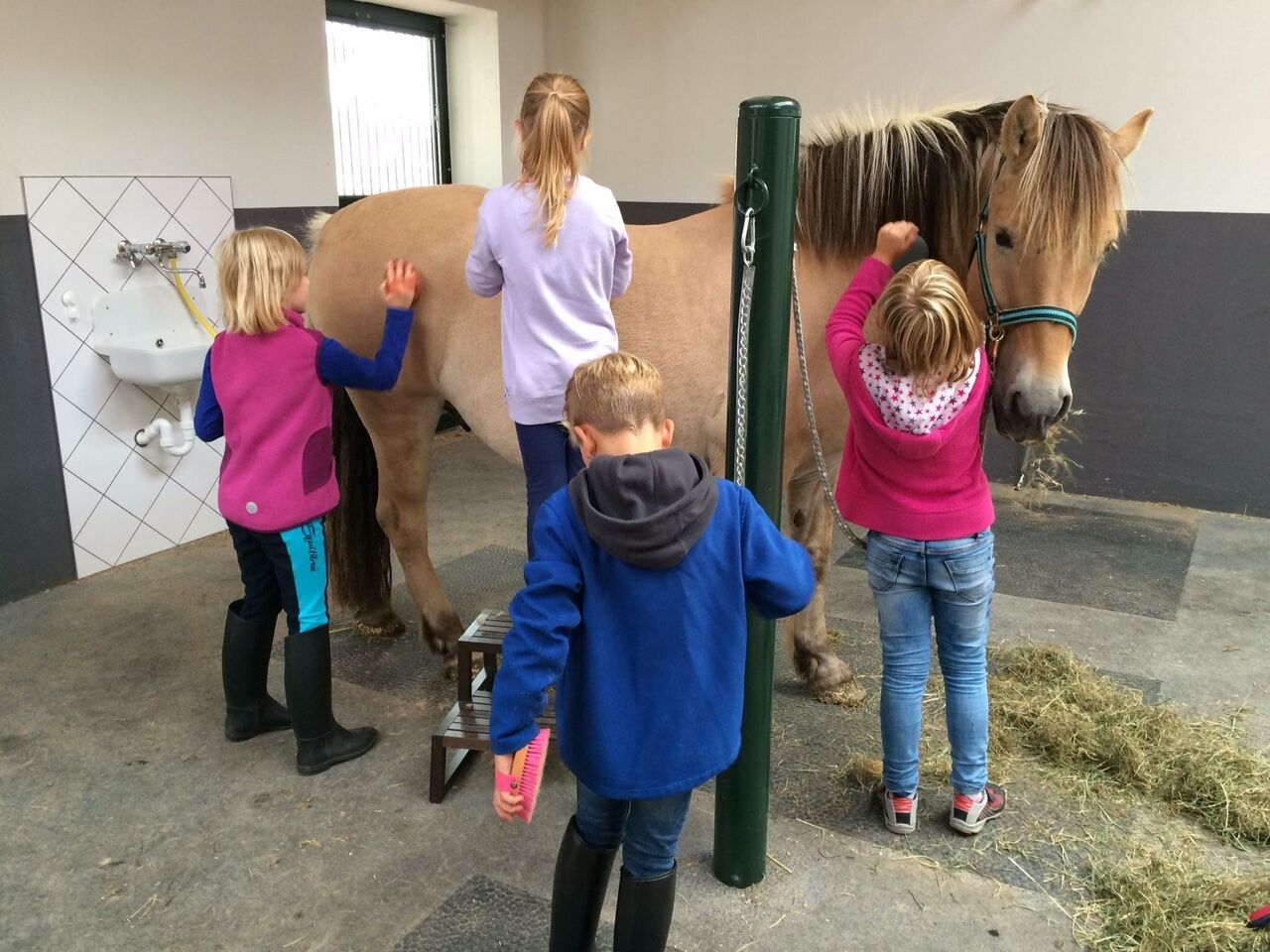 Kinder striegeln Pony